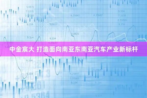 中金宸大 打造面向南亚东南亚汽车产业新标杆