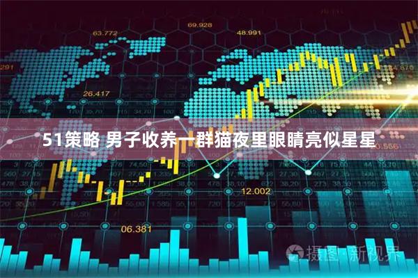 51策略 男子收养一群猫夜里眼睛亮似星星