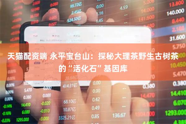 天猫配资端 永平宝台山：探秘大理茶野生古树茶的“活化石”基因库