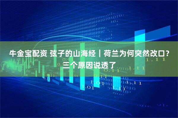 牛金宝配资 弦子的山海经｜荷兰为何突然改口？三个原因说透了