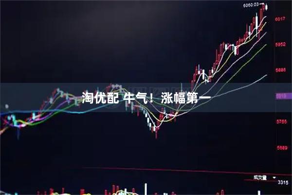 淘优配 牛气！涨幅第一